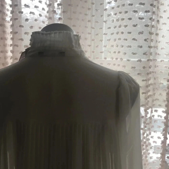 Banana Republic Chiffon Pleated Blouse - Picture 8 of 13